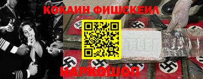 крисы Можга