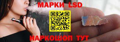 крисы Можга