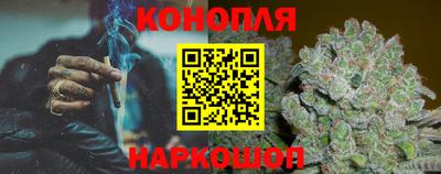 крисы Можга
