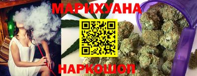 крисы Можга