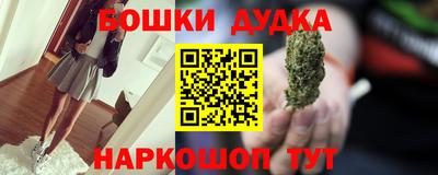 крисы Можга