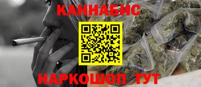 крисы Можга