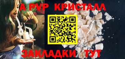 крисы Можга
