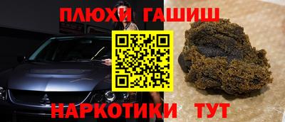 крисы Можга