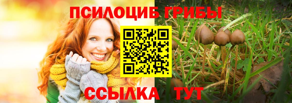 Галлюциногенные грибы GOLDEN TEACHER  Вход с VPN  Рассказово 
